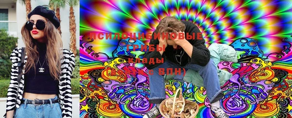 крисы Вязьма